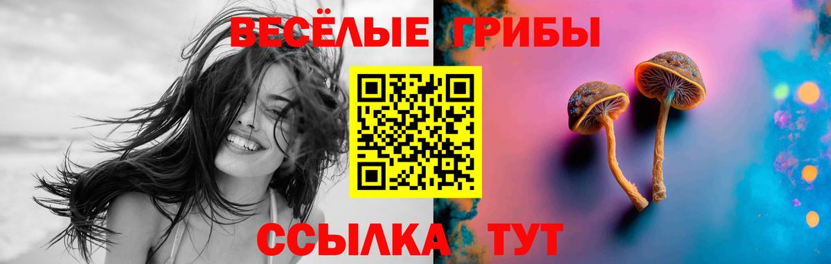 Жигулёвск  Галлюциногенные грибы прущие грибы  Галлюциногенные грибы MAGIC MUSHROOMS  Вход с VPN 